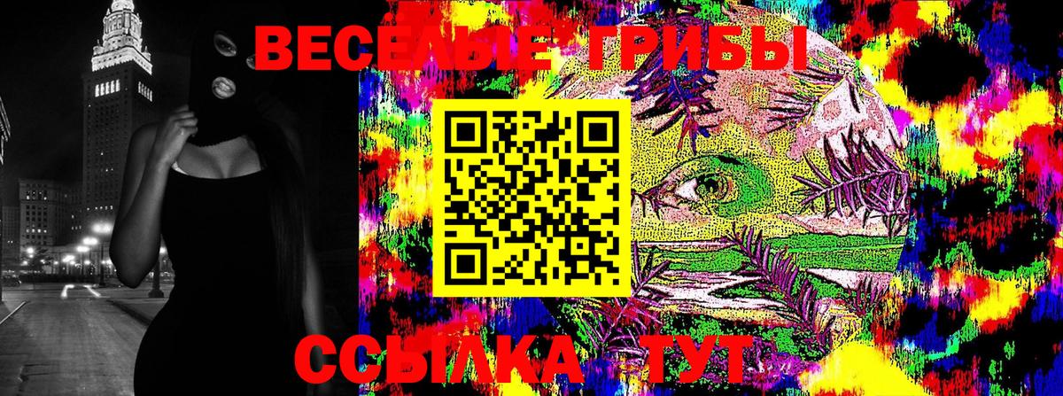 Кумертау  Галлюциногенные грибы Cubensis  Вход с VPN 